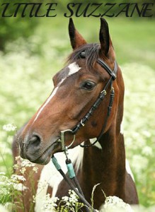 littlesuzzane.jpg